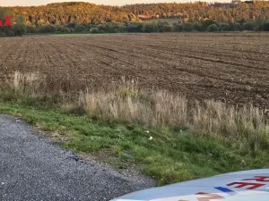 Prodej komerčního pozemku, Roudné, 37224 m2