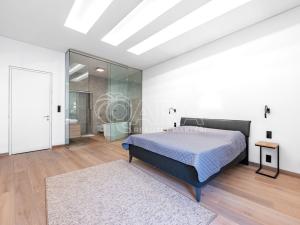 Pronájem bytu 3+kk, Praha, Truhlářská, 186 m2