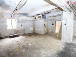 Prodej ubytování, Karlovy Vary - Rybáře, Sokolovská, 600 m2