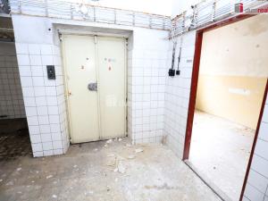 Prodej činžovního domu, Karlovy Vary - Rybáře, Sokolovská, 600 m2