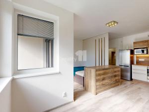 Prodej bytu 1+kk, Humpolec, Na Skalce, 35 m2