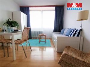 Pronájem bytu 1+kk, Teplice - Řetenice, Bratislavská, 21 m2