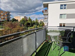 Pronájem bytu 2+kk, Plzeň - Severní Předměstí, Znojemská, 66 m2