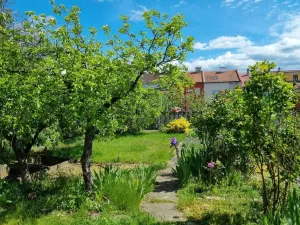 Prodej rodinného domu, Nový Jičín, Trlicova, 100 m2