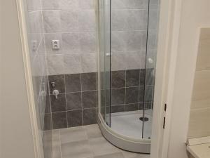 Pronájem bytu 2+1, Praha - Žižkov, Biskupcova, 55 m2