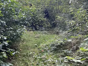 Prodej chalupy, Trojanovice, 100 m2
