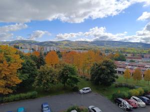 Prodej bytu 2+1, Sokolov, Sokolovská, 50 m2