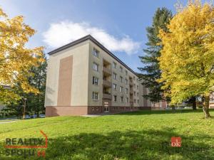 Prodej bytu 3+1, Blansko, Salmova, 81 m2