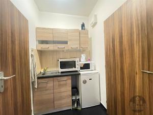 Pronájem bytu 1+kk, Praha - Karlín, Sokolovská, 30 m2
