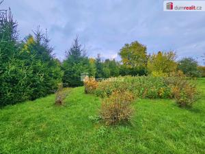 Prodej zahrady, Tachov, 3053 m2