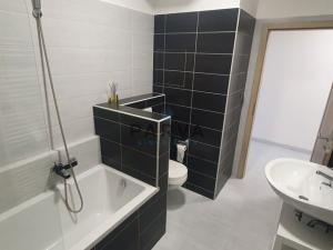 Pronájem bytu 2+kk, Plzeň - Jižní Předměstí, Poděbradova, 67 m2