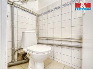 Pronájem bytu 3+kk, Plzeň - Vnitřní Město, Dominikánská, 89 m2