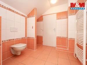 Prodej rodinného domu, Velký Týnec, U nové školy, 310 m2