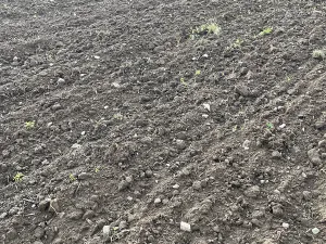 Prodej pole, Radostín nad Oslavou, 20836 m2