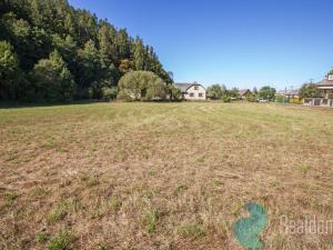 Prodej pozemku pro bydlení, Lesnice, 2031 m2