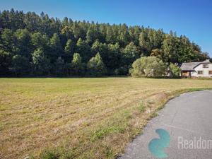 Prodej pozemku pro bydlení, Lesnice, 2031 m2