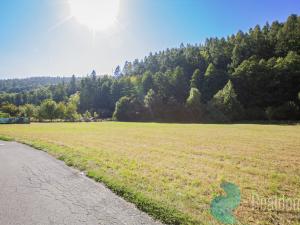 Prodej pozemku pro bydlení, Lesnice, 2031 m2