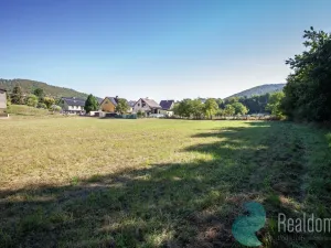 Prodej pozemku pro bydlení, Lesnice, 1193 m2