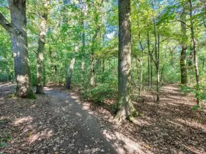 Prodej rodinného domu, Praha, Sukovská, 136 m2