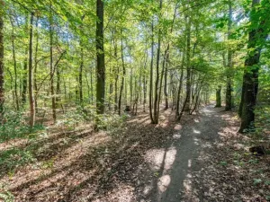 Prodej rodinného domu, Praha, Sukovská, 136 m2