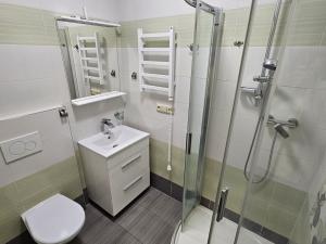 Pronájem bytu 1+kk, Mariánské Lázně, Hlavní třída, 30 m2