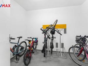 Pronájem bytu 3+1, Holice, Ottmarova, 68 m2