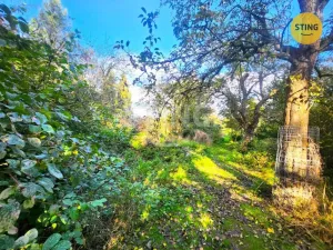 Prodej zahrady, Osek nad Bečvou, 2697 m2