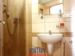 Pronájem bytu 1+kk, České Budějovice - České Budějovice 3, 34 m2