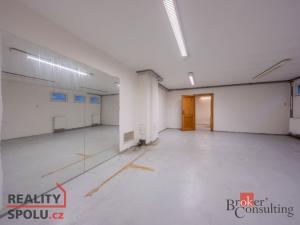 Pronájem vily, Dolní Břežany, V Zahradách, 369 m2