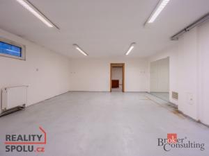 Pronájem vily, Dolní Břežany, V Zahradách, 369 m2