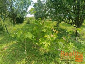 Prodej zahrady, Otrokovice, Smetanova, 1098 m2