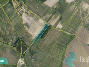 Prodej podílu 1/8 pole, Hlavečník, 3089 m2