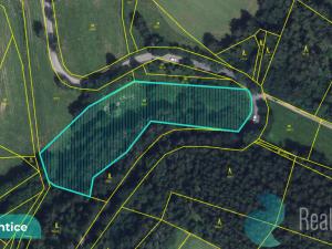 Prodej louky, Výprachtice, 6838 m2