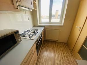 Pronájem bytu 2+1, Brno - Staré Brno, Náplavka, 50 m2