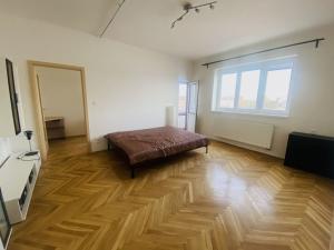 Pronájem bytu 2+1, Brno - Staré Brno, Náplavka, 50 m2