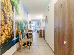 Prodej obchodního prostoru, Jihlava - Horní Kosov, Buková, 242 m2