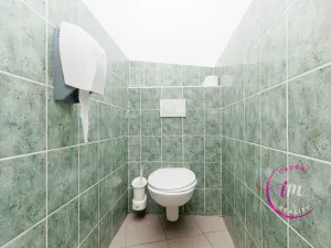 Prodej obchodního prostoru, Jihlava - Horní Kosov, Buková, 242 m2