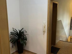 Pronájem bytu 1+1, Panenské Břežany, Družstevní, 38 m2