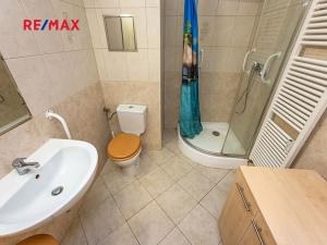 Pronájem bytu 1+kk, Praha - Čimice, Zaječická, 30 m2