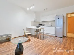 Pronájem bytu 2+kk, Brno, Říčanská, 47 m2