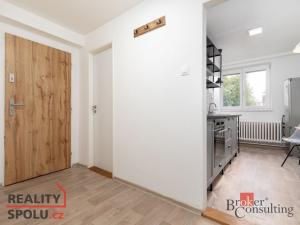 Prodej bytu 1+1, Opava - Město, Solná, 33 m2
