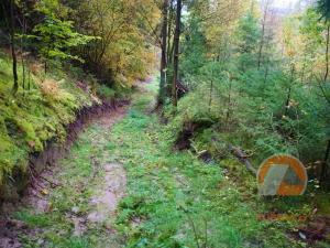 Prodej chalupy, Český Dub - Kněžičky, 157 m2