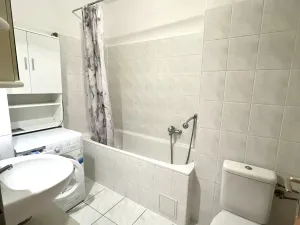 Pronájem bytu 1+kk, Plzeň - Severní Předměstí, Sedlecká, 32 m2