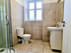 Pronájem bytu 2+kk, Brno, Provazníkova, 45 m2