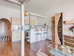 Pronájem bytu 1+kk, Praha - Nusle, Bartoškova, 30 m2