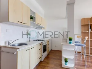 Pronájem bytu 1+kk, Praha - Nusle, Bartoškova, 30 m2