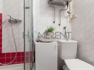 Pronájem bytu 1+kk, Praha - Nusle, Bartoškova, 30 m2