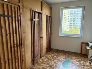 Pronájem bytu 2+1, České Budějovice, Netolická, 45 m2