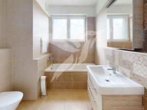 Pronájem bytu 2+kk, Heřmanova Huť, U Pondu, 60 m2