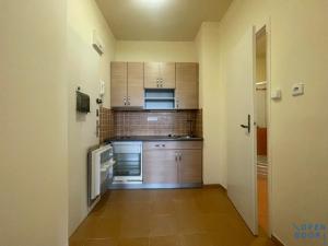 Pronájem bytu 1+kk, Praha - Vinohrady, Londýnská, 28 m2